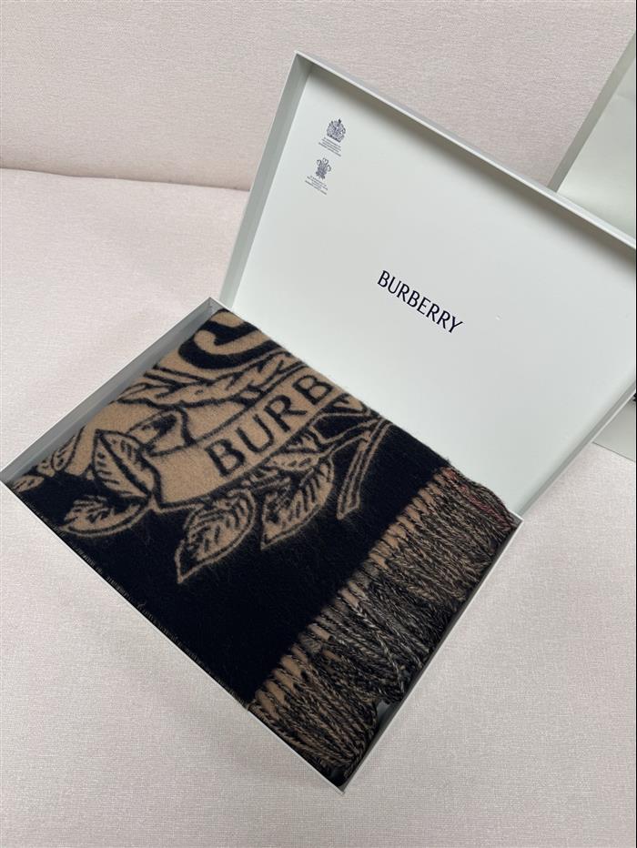 2026117185112988 210